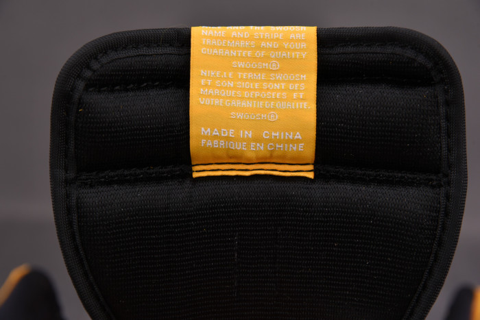 AIR JORDAN 1 RETRO HIGH OG “POLLEN” 555088-701